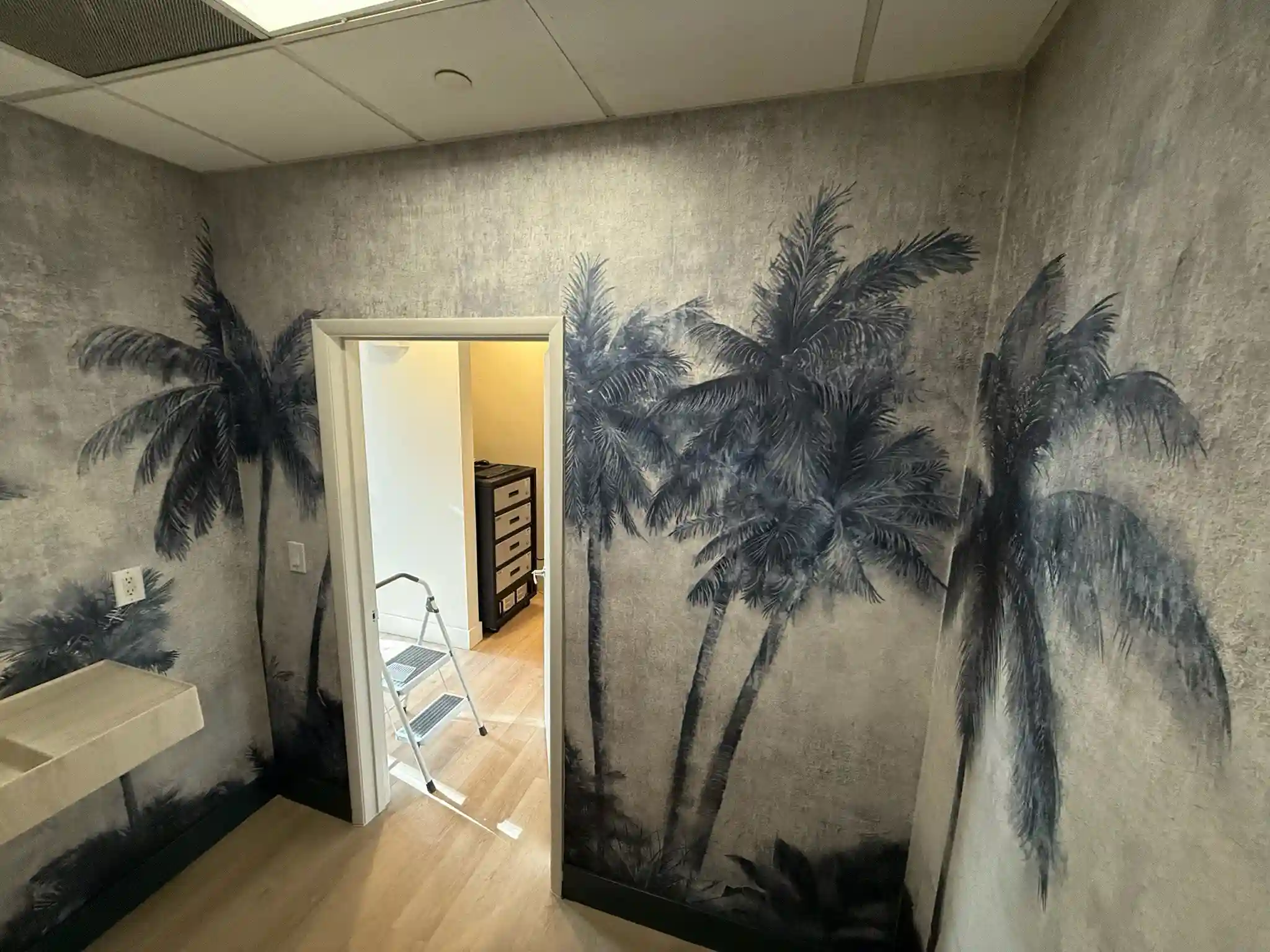 Professional wallpaper services available in Pine Hills