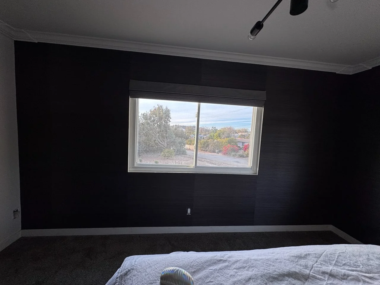 Professional wallpaper services available in Altamonte Springs