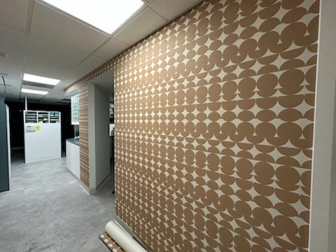 Wallpaper installation project in Ocoee, FL